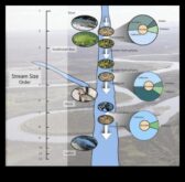 Dzīvības plūsmu plūsma un to svarīgums