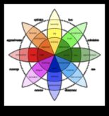 Emociju daudzās nokrāsas