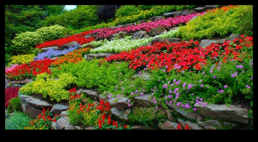 Harmony in Blooms DIY noslēpumi un paņēmieni perfektam dārzam