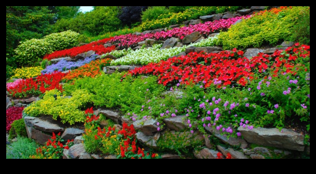 Harmony in Blooms: DIY noslēpumi jūsu brīnišķīgajam dārzam