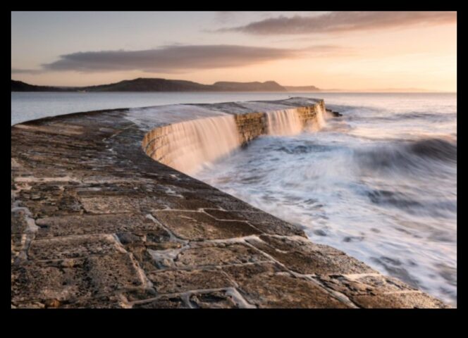 Kustīgas ainavas Viscaur tveršanas humanitārās zinātnes