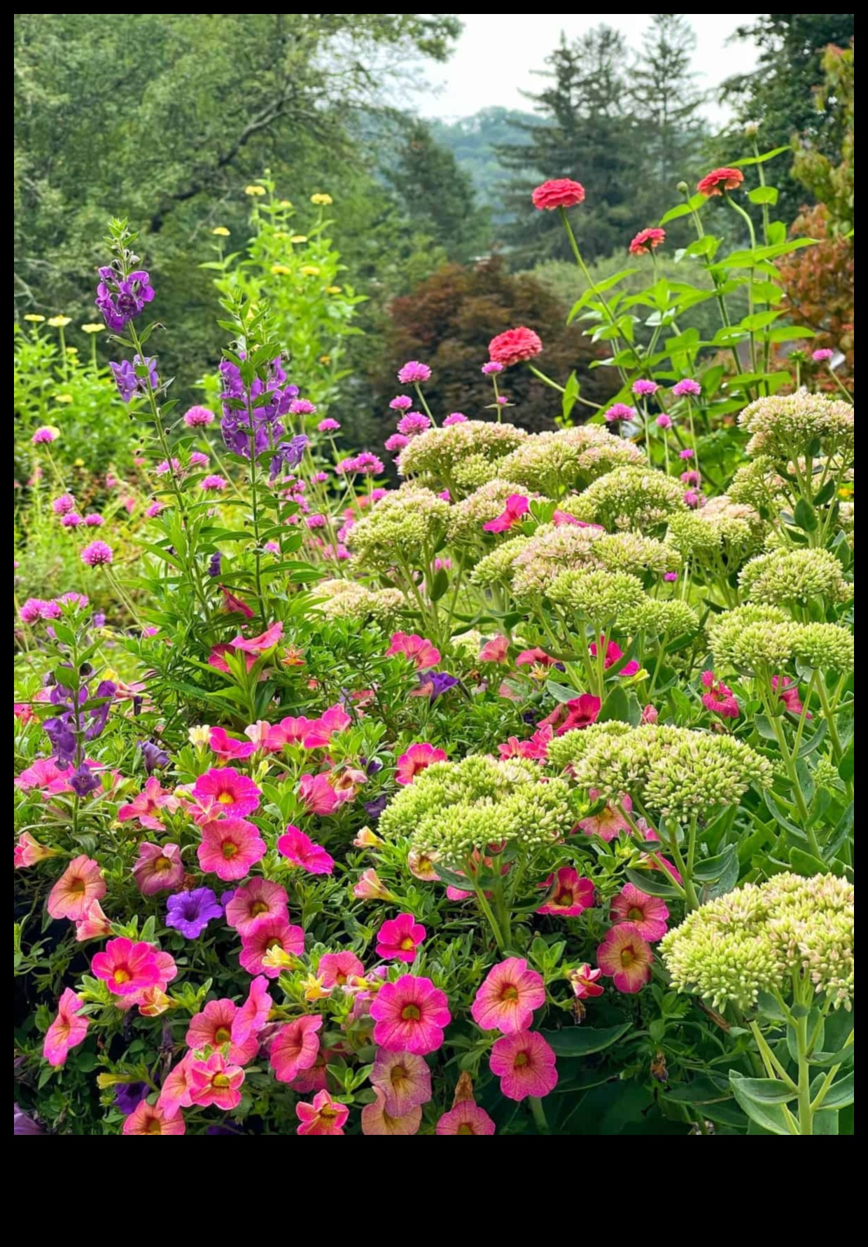 Dārza iebrucēju nogalināšana: jūsu ceļvedis pret kaitēkļiem