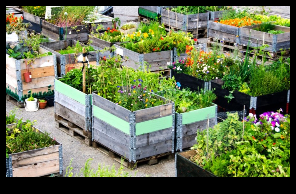 Pilsētas zaļumi audzē paši savu pārtiku betona džungļos 1 City Greens: pilsētas dārzkopības pamati iesācējiem