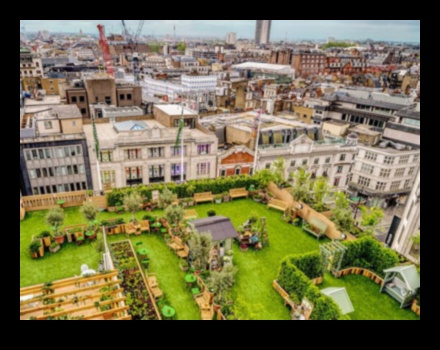 Rooftop Retreats A City Escape 1 Atpūtas uz jumta: Skyline Escapes pilsētas oāzēs