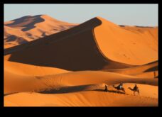 Tuksneši Padziļināta un daudzveidīga apkārtne