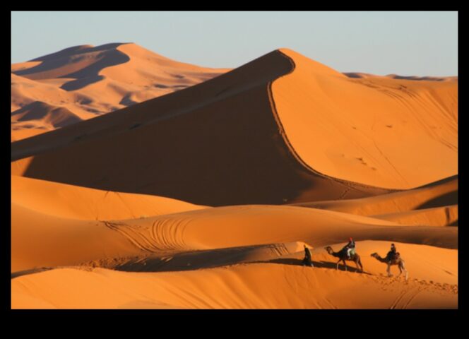 Tuksneši Padziļināta un daudzveidīga apkārtne