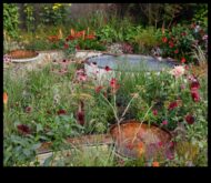 Uzziediet stilā Pārveidojiet savu dārzu izmantojot tiem 7 svarīgajiem dekoru elementiem