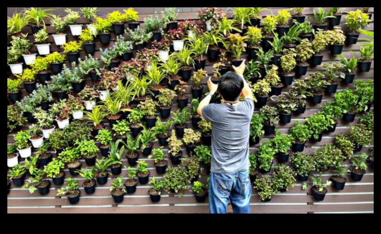 Vertikālā atkāpšanās Vertikāls ziedošu brīnumu zāliens visās dimensijās