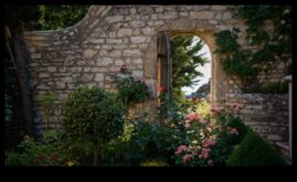 Ziedu fantāzijas DIY iedvesmas dārzam, kas pārņem brīnišķīgā lieta par